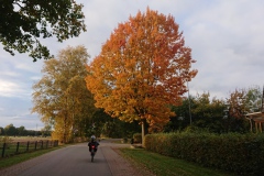 IMG_20201022_165051