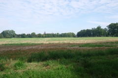 IMG_20210907_111350