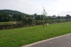 IMG_20210907_145842
