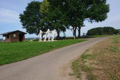 IMG_20210907_153304
