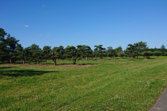 IMG_20220616_094035