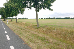 IMG_20220709_110249a