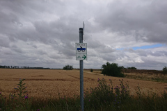 IMG_20220710_110725