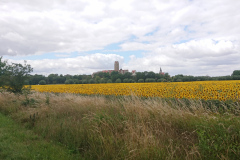 IMG_20220710_130727
