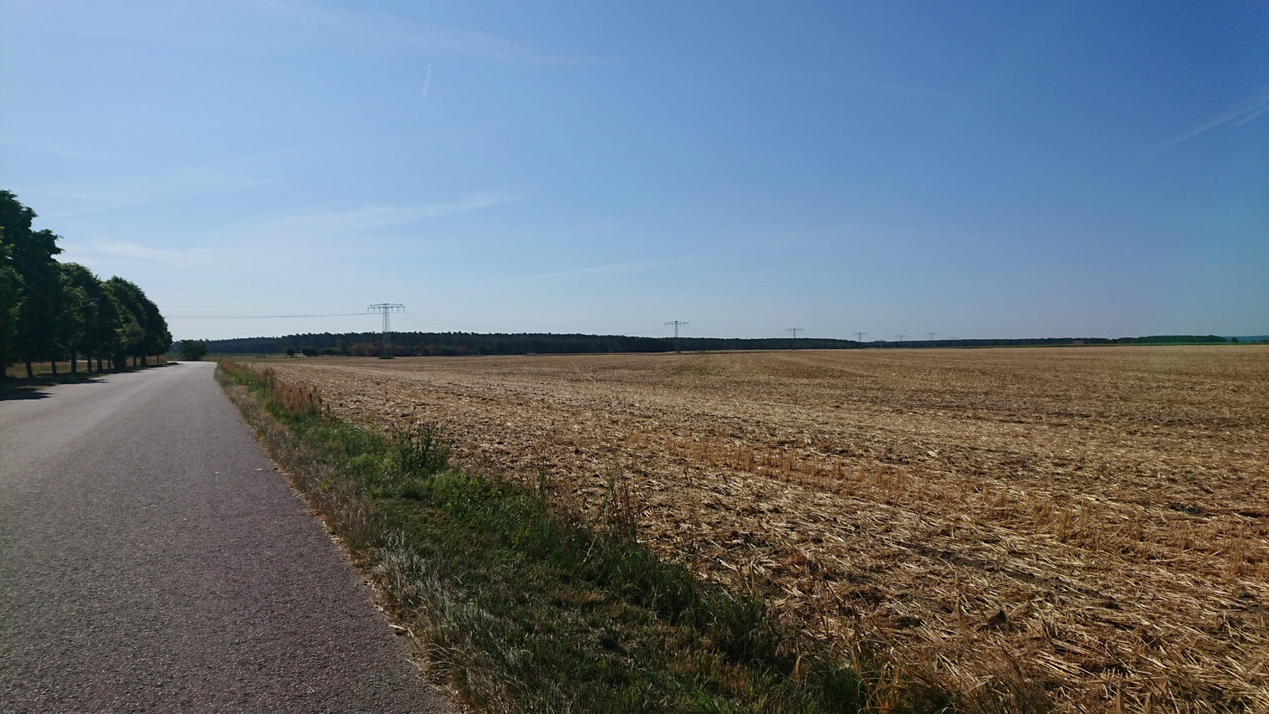 IMG_20220718_091843