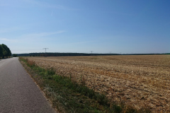 IMG_20220718_091843