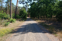 IMG_20220718_092645