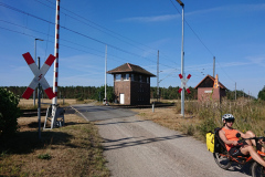 IMG_20220718_093309
