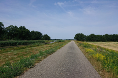IMG_20220718_113101