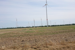 IMG_20220718_132255