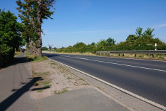 IMG_20220719_100652