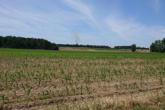 IMG_20220719_123413
