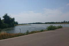IMG_20220720_122139