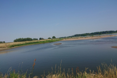 IMG_20220720_123141