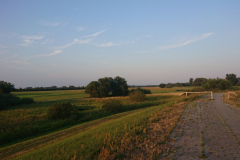 IMG_20220720_203121