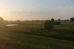 IMG_20220720_203130