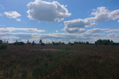 IMG_20220901_141210