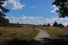 IMG_20220901_145448