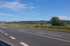 IMG_20220903_105735