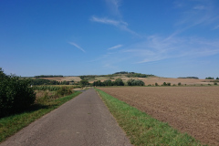 IMG_20220903_113950
