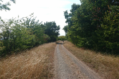 IMG_20220903_133857