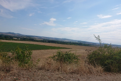 IMG_20220903_133934