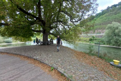IMG_20220903_170327
