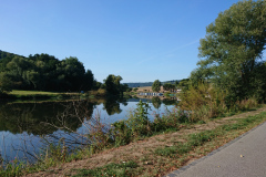 IMG_20220904_095127