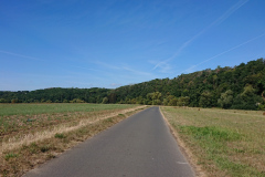 IMG_20220904_113346