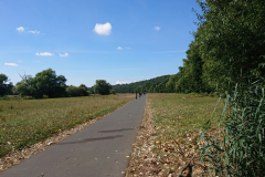 IMG_20220904_120716