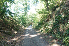 IMG_20220904_122122