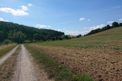 IMG_20220904_125326