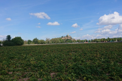 IMG_20220904_132002