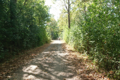IMG_20220904_132051