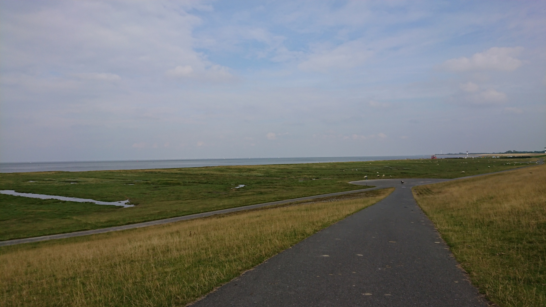 IMG_20220912_154502