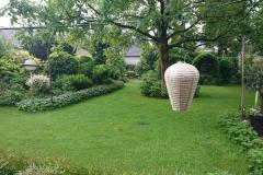 IMG_20240516_080034 IMG_20240516_080034