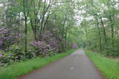 IMG_20240516_112501 IMG_20240516_112501