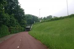 IMG_20240516_114732 IMG_20240516_114732