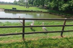 IMG_20240516_124224 IMG_20240516_124224