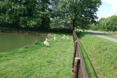 IMG_20240516_124243 IMG_20240516_124243