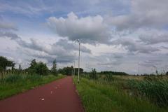 IMG_20240516_130350 IMG_20240516_130350