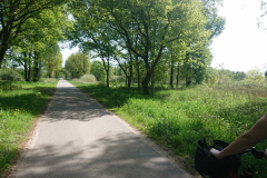 IMG_20250501_122106a