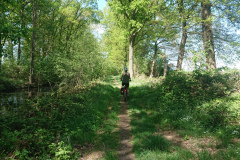 IMG_20250501_130116a