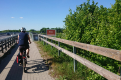 IMG_20250511_171055b