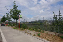 IMG_20250517_115909a