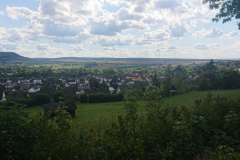 IMG_20250906_153811