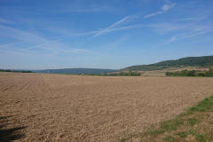 IMG_20250907_095301