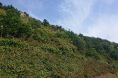 IMG_20250907_122425