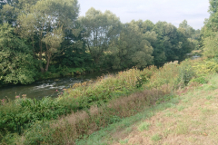 IMG_20250908_092457