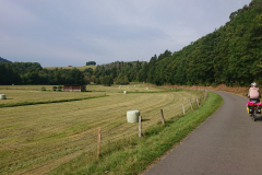 IMG_20250908_103124